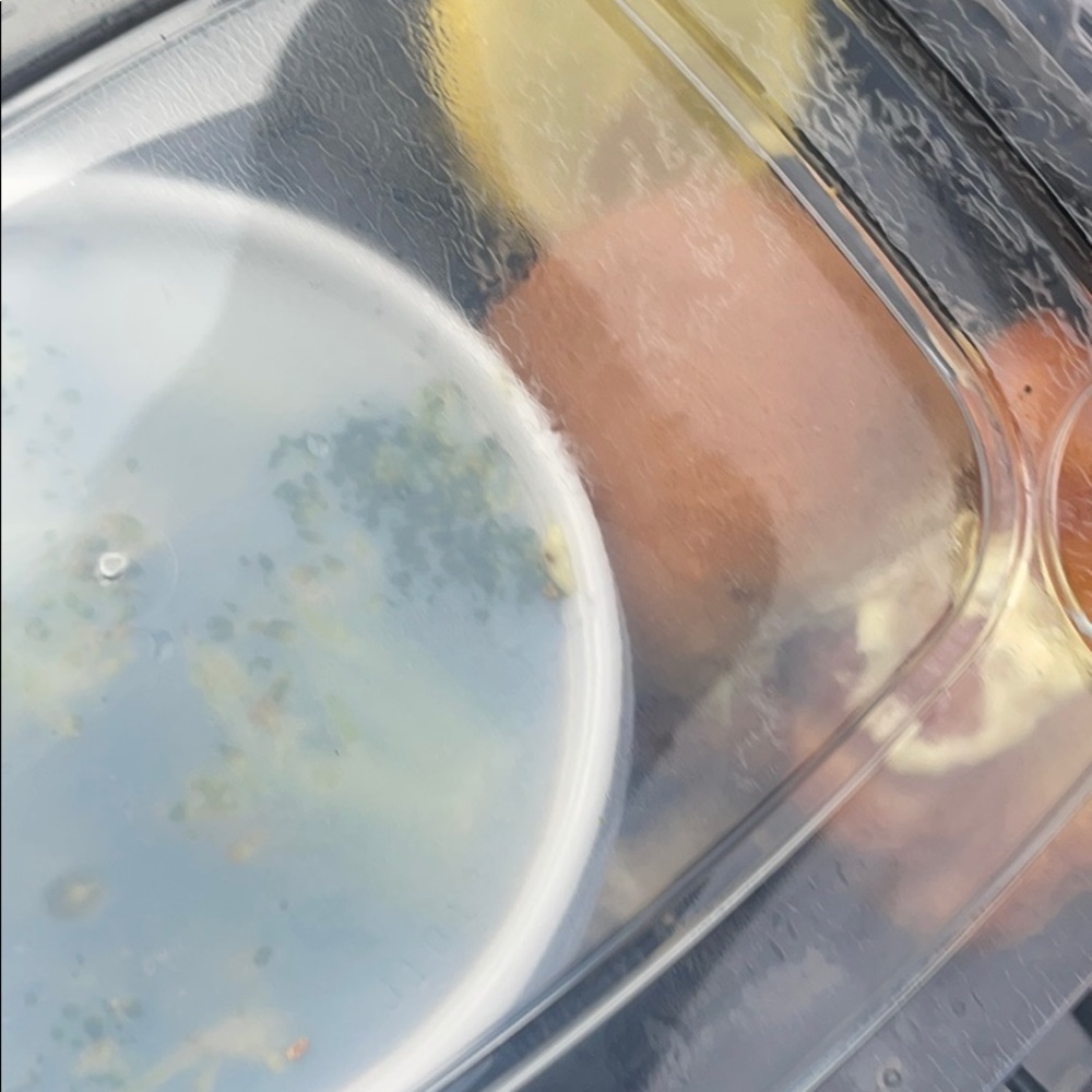 Meet your Posher, Liam